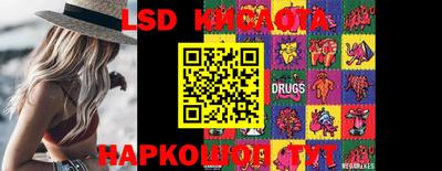 шишки Сланцы