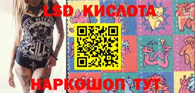 a pvp Свободный