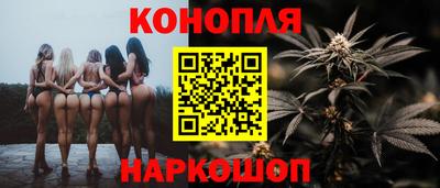 a pvp Свободный