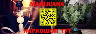 a pvp Свободный