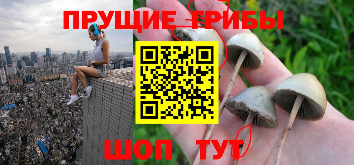 Галлюциногенные грибы Psilocybine cubensis  Вход с VPN  Серпухов 